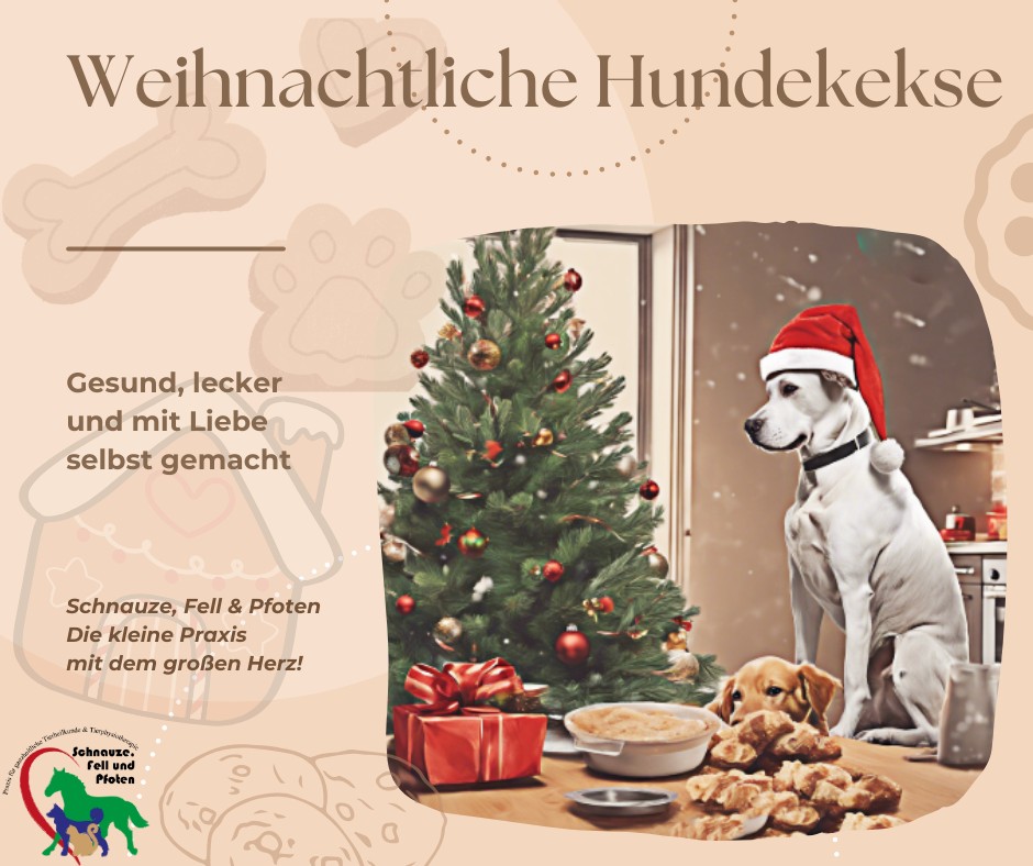 Weihnachtliche Hundekekse Gesund, lecker und mit Liebe selbst gemacht.jpg